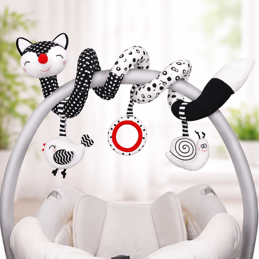 Spiral Black & White Toy